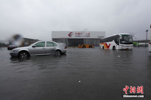 上海遭遇特大暴雨,市民頂風冒浪頑強前行